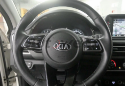 
										Used 2022 Kia saltos full									